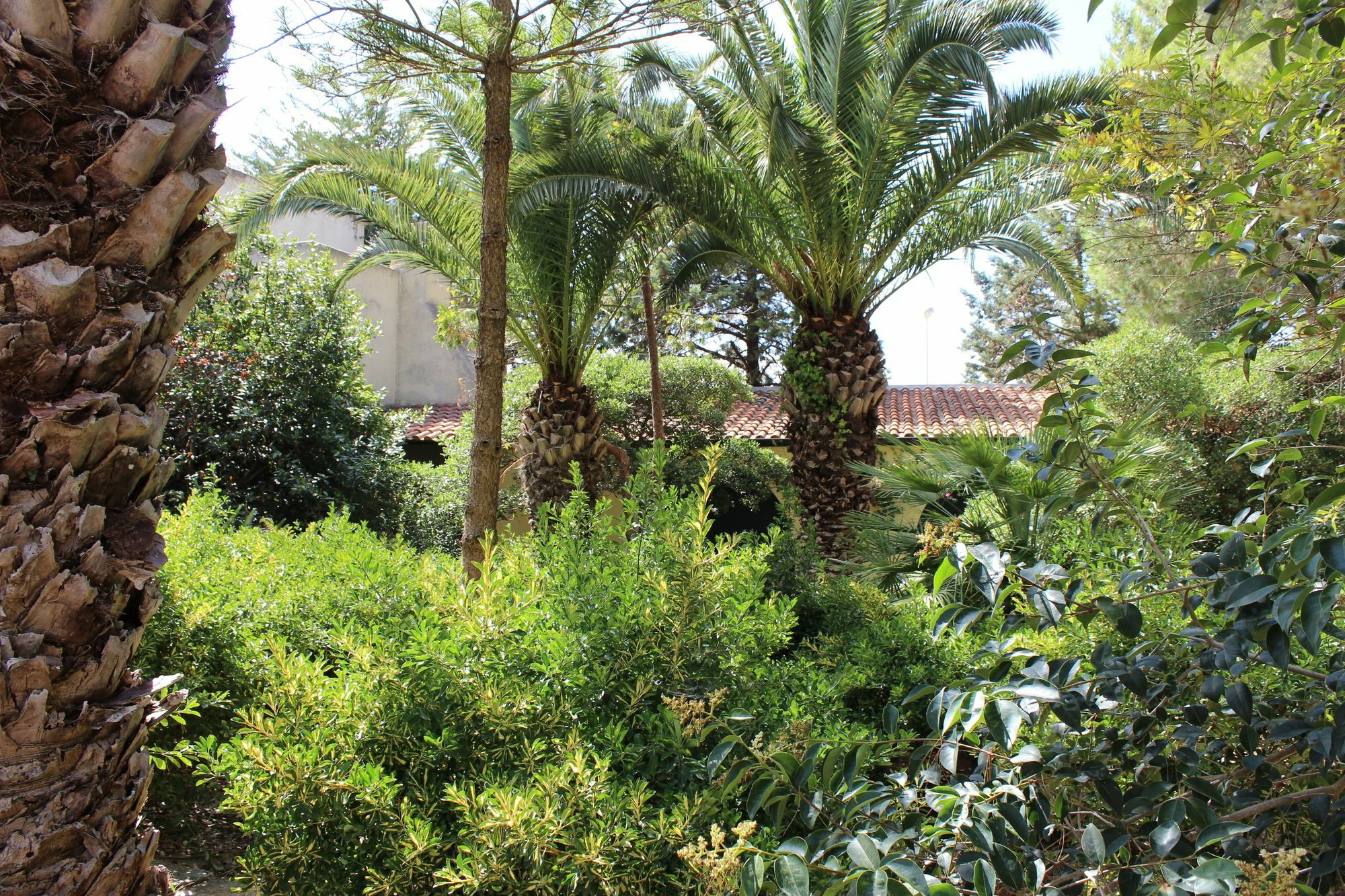 Masseria Pagani Nardo Bagian luar foto